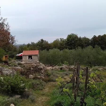 Secluded House - 15649 Vikendica