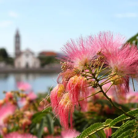 Secluded House - 15649 *