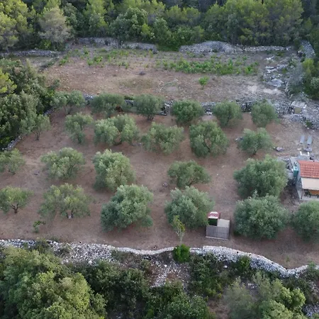 Vakantiehuis Secluded House - 15649 *