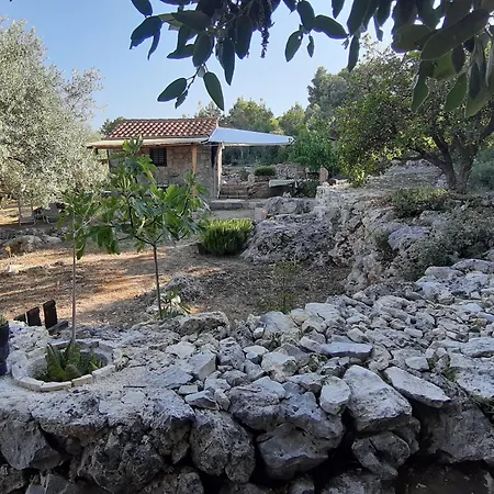 Secluded House - 15649 Holiday home *