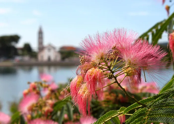 Secluded House - 15649 *